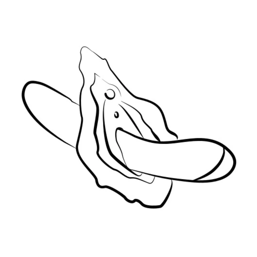 ROMP - HYPE Multifunktions-G-Punkt-Vibrator Rot
